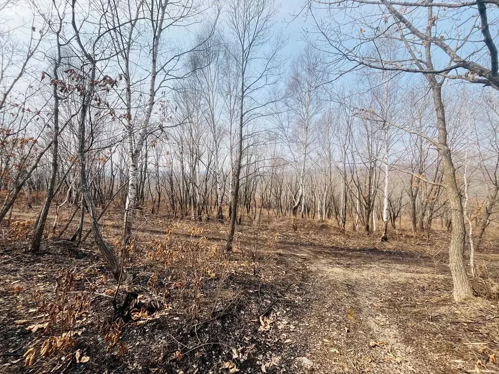 Участок в Находка, Сахалинская улица (20 м) - Фото 2