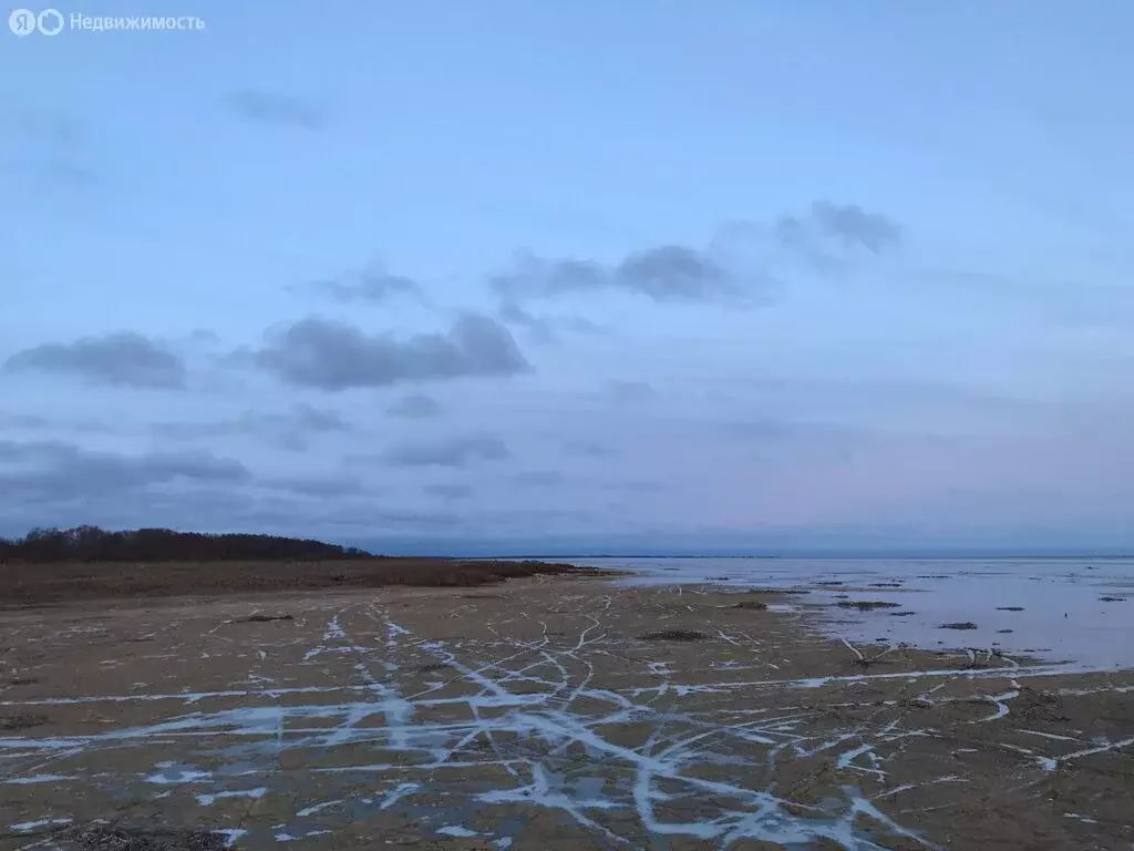 Участок в Новгородская область, Шимское городское поселение, деревня ... - Фото 0