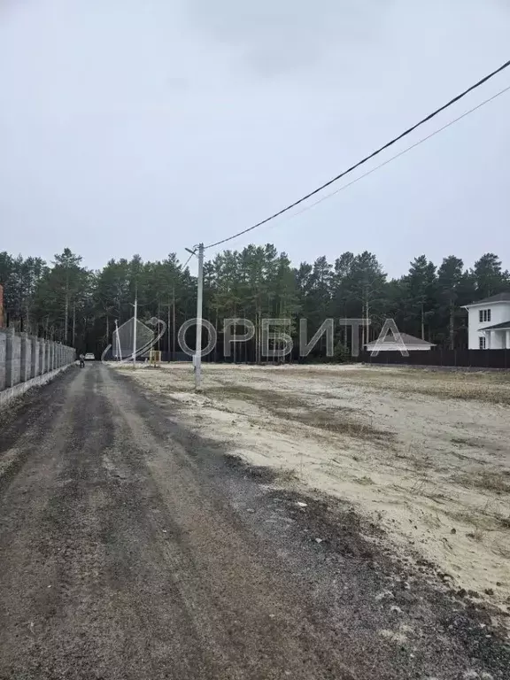 Участок в Тюменская область, Тюменский район, пос. Андреевский  (8.0 ... - Фото 1