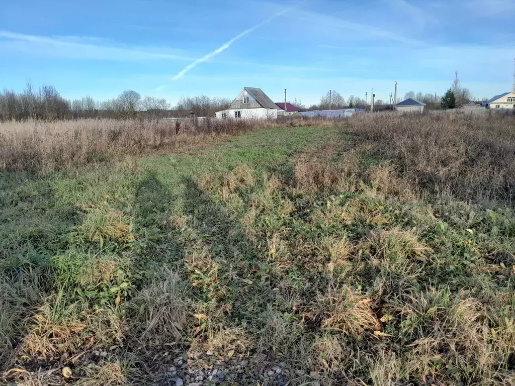 Участок в Вологодская область, Шекснинский муниципальный округ, д. ... - Фото 1