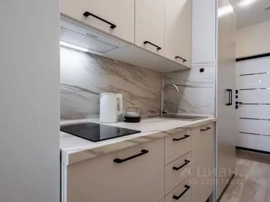 Студия Краснодарский край, Сочи Бытха мкр, ул. Ясногорская, 16/2к8 ... - Фото 1