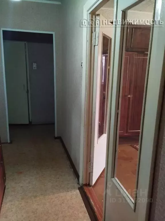 2-к кв. Оренбургская область, Оренбург Салмышская ул., 30 (54.0 м) - Фото 1
