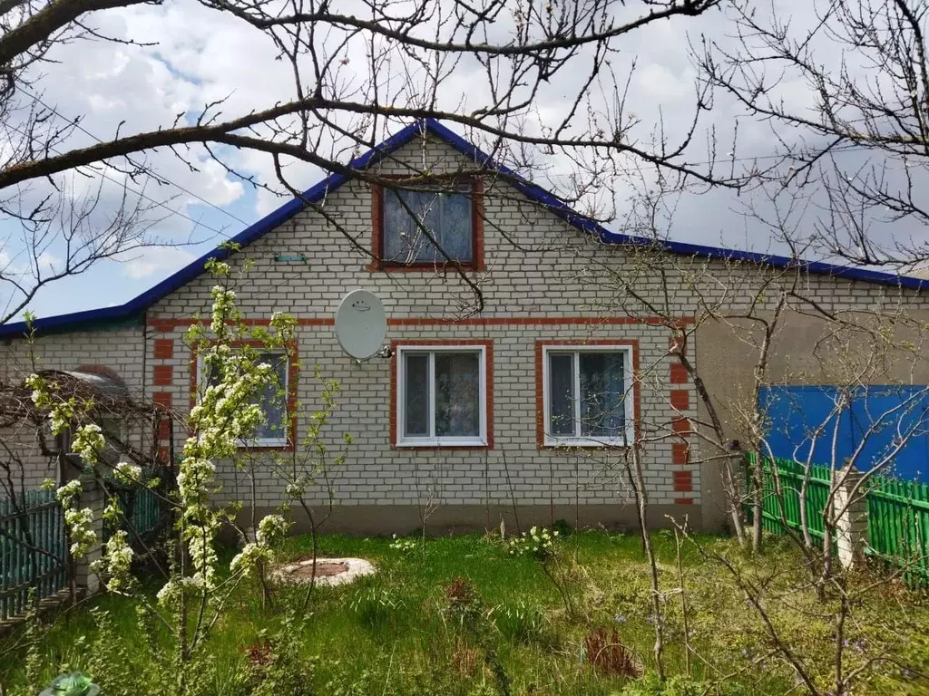 Дом в Белгородская область, Волоконовский район, Пятницкое рп ... - Фото 2