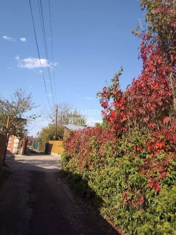 Участок в Адыгея, Майкоп Дружба ДНТ, ул. Набережная (3.9 сот.) - Фото 1