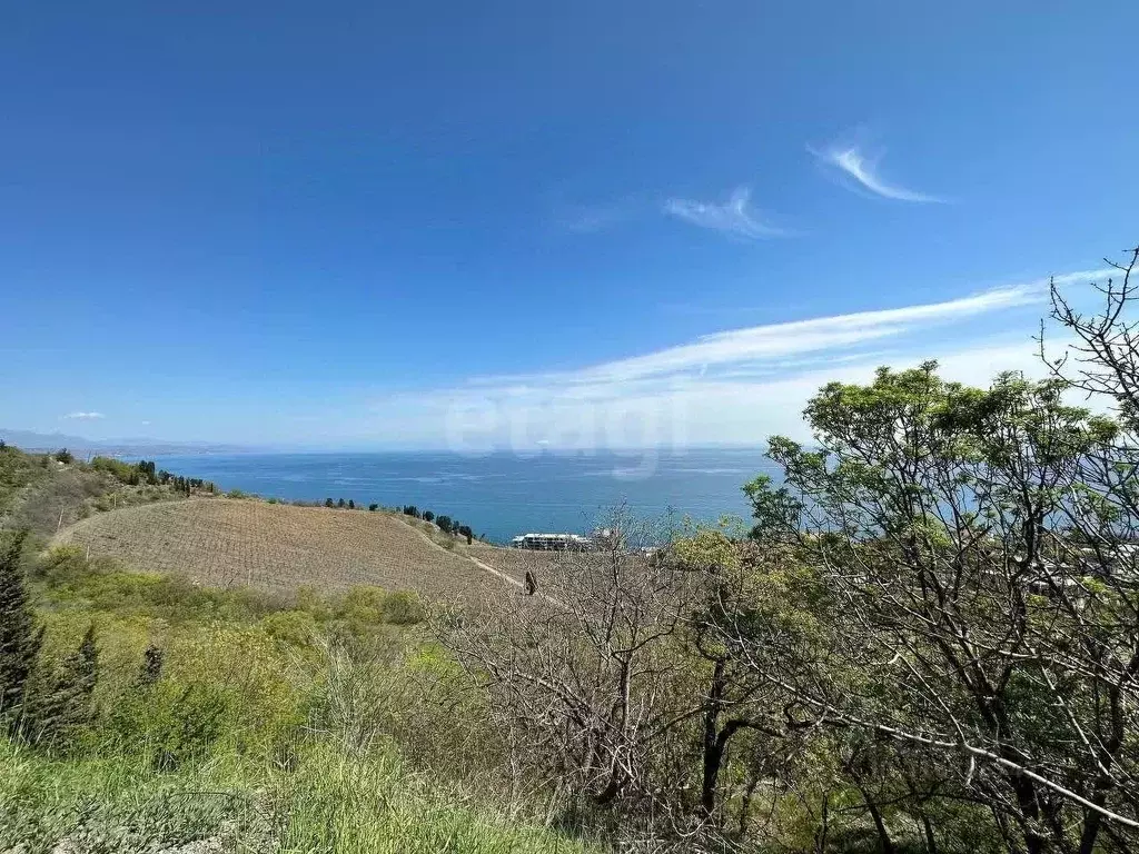 Участок в Крым, Алушта муниципальный округ, с. Лазурное  (25.0 сот.) - Фото 1