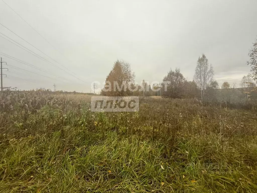 Участок в Ярославская область, Переславль-Залесский муниципальный ... - Фото 2