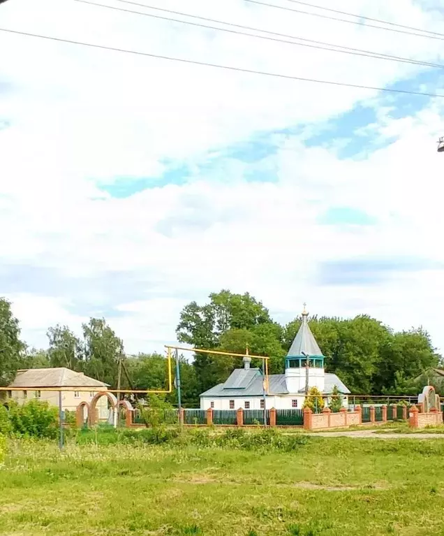 Дом в Рязанская область, Михайловский муниципальный округ, с. Пушкари ... - Фото 1
