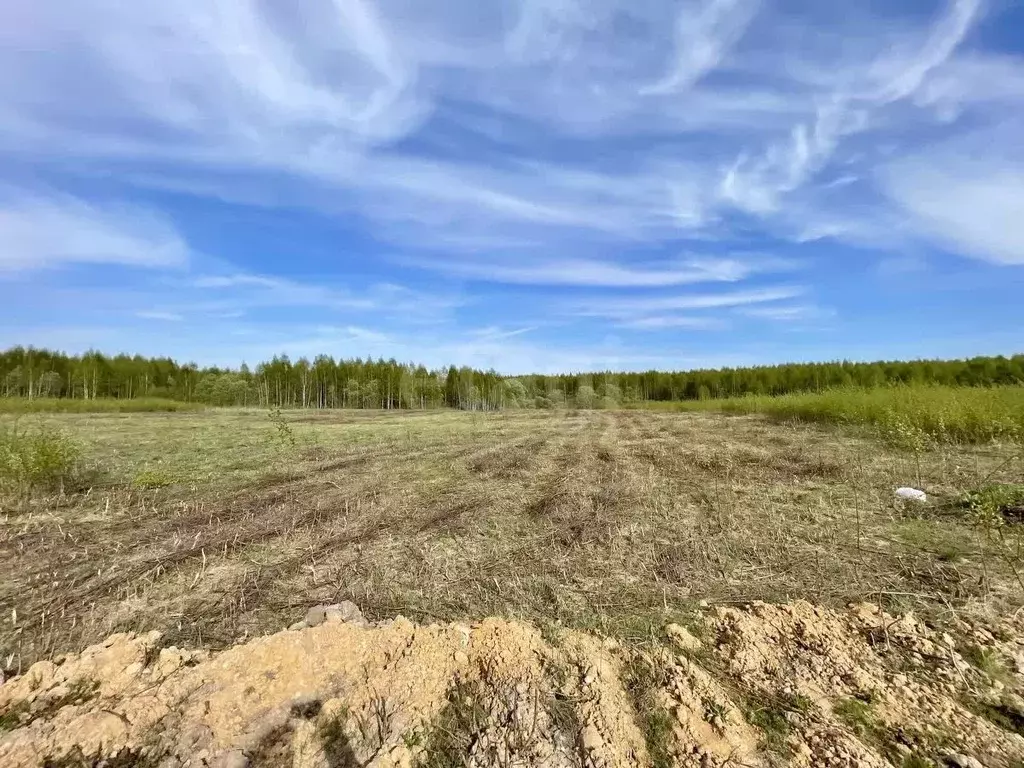 Участок в Смоленская область, Смоленский муниципальный округ, ... - Фото 1
