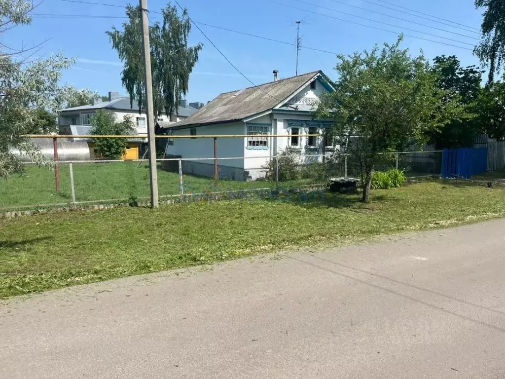 Дом в Нижегородская область, Перевоз Спортивная ул. (34 м) - Фото 0