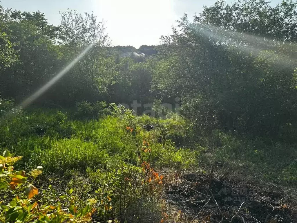 Участок в Амурская область, Благовещенск Светлана СТ,  (10.0 сот.) - Фото 2