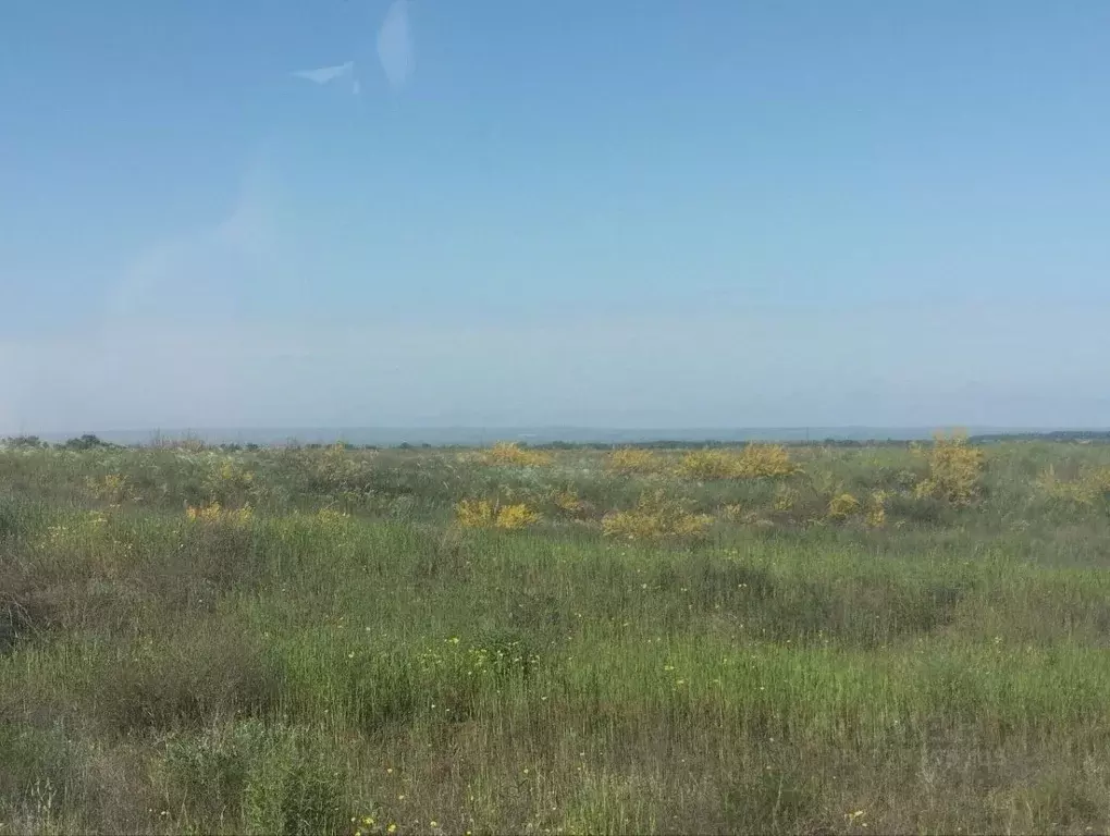 Участок в Волгоградская область, Городищенский район, Царицынское ... - Фото 2