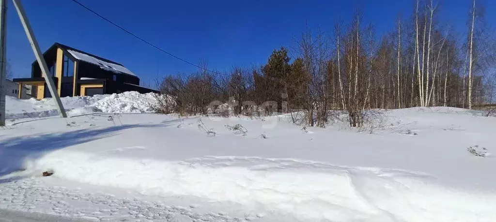 Участок в Нижегородская область, Нижний Новгород ул. Серебряная (7.4 ... - Фото 0