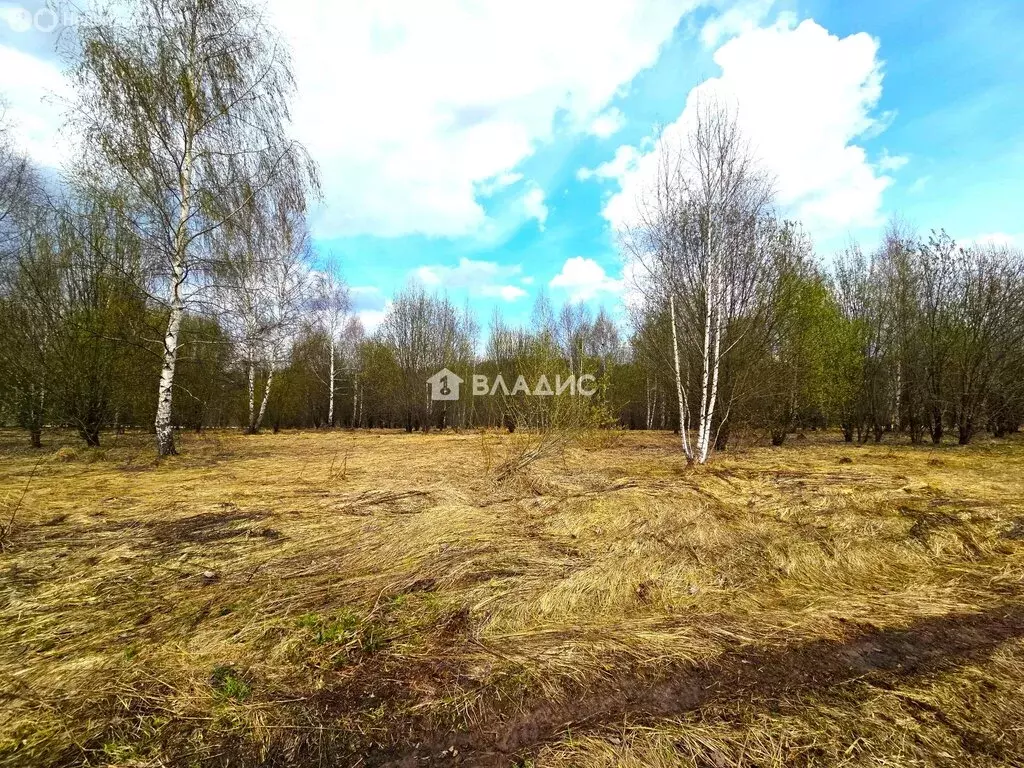 Участок в Нижний Новгород, ТСЖ Ригель, 133 (5.5 м) - Фото 2