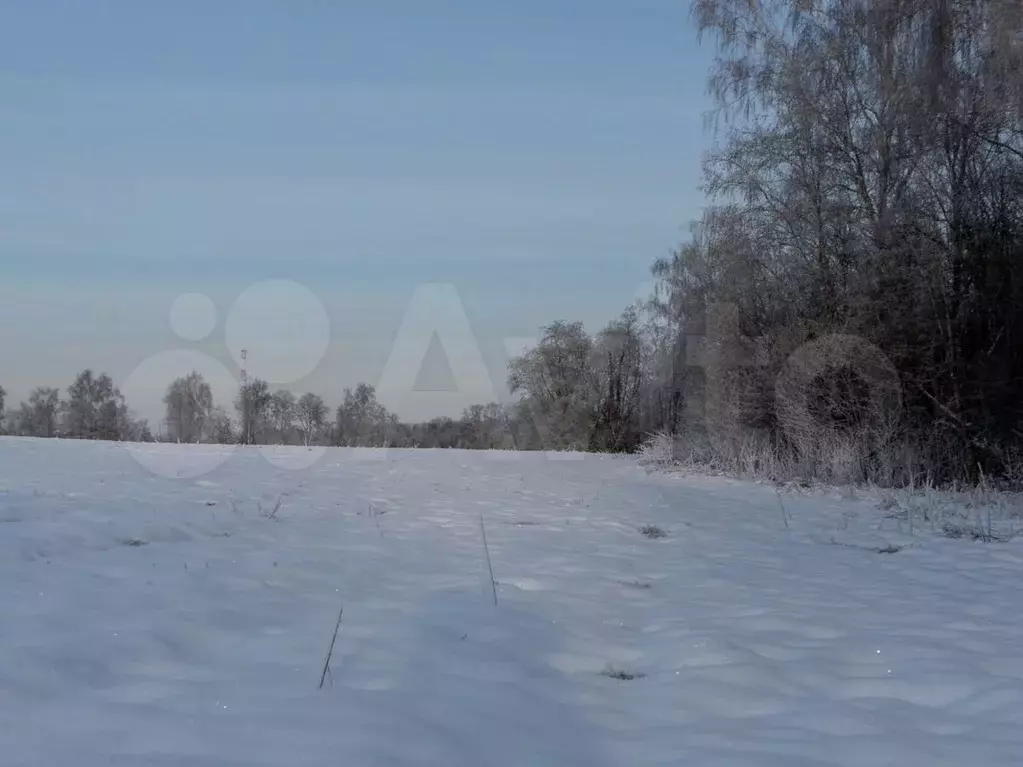 Участок 30 сот. (ИЖС) - Фото 0