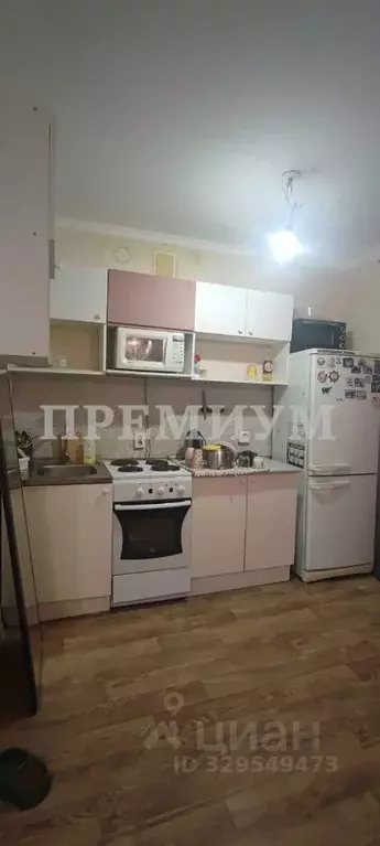 Студия Самарская область, Волжский район, Смышляевка городское ... - Фото 2