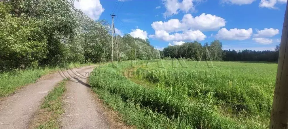 Участок в Ленинградская область, Приозерский район, Ларионовское ... - Фото 0