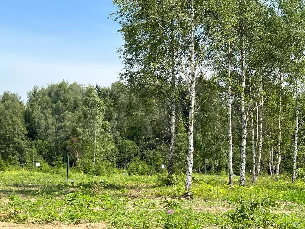 Участок 4,9 сот. (ИЖС) - Фото 1