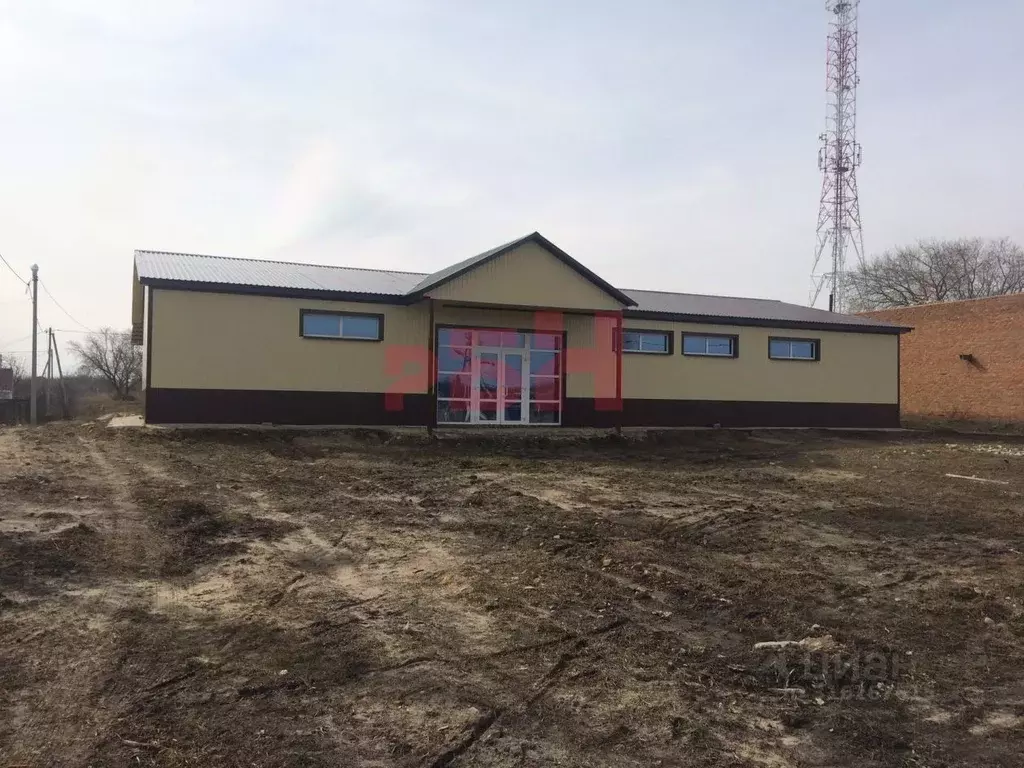 Помещение свободного назначения в Пензенская область, Беково рп ул. ... - Фото 1