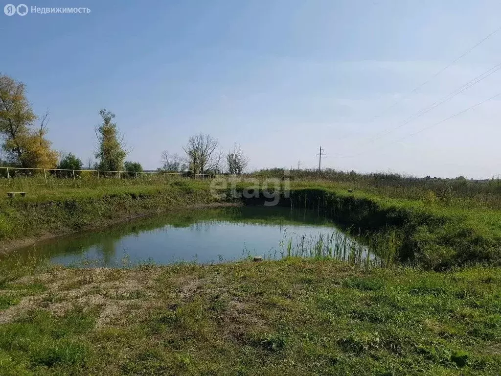 Участок в Колыванский район, ДНТ Союз силовых структур Родины (6 м) - Фото 1