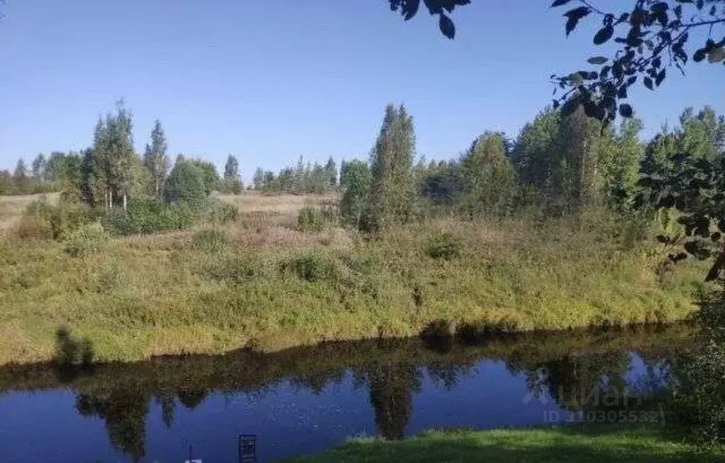 Участок в Новгородская область, Новгородский район, Трубичинское ... - Фото 1