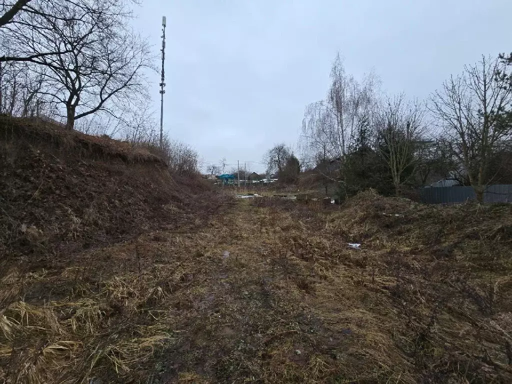 Продается участок в д. Пуговичино - Фото 2