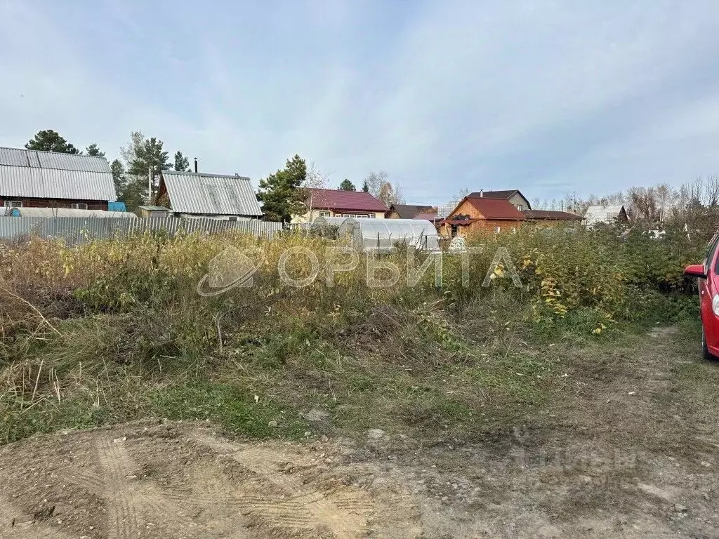 Участок в Тюменская область, Тюменский муниципальный округ, Подъем СНТ ... - Фото 2