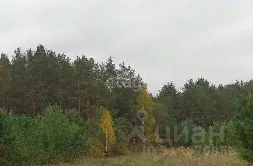 Участок в Свердловская область, Белоярский муниципальный округ, с. ... - Фото 0