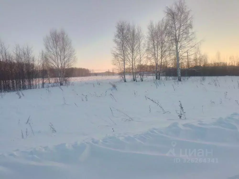 Участок в Омская область, Омский район, Пушкинское с/пос, д. Давыдовка ... - Фото 1