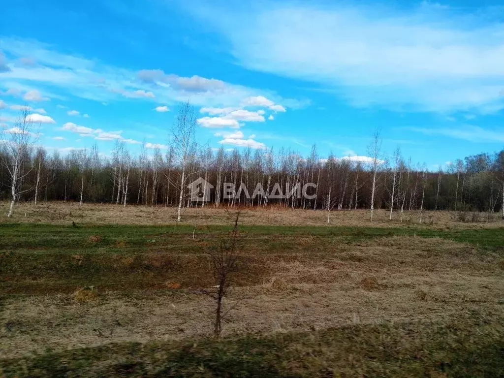 Участок в Нижегородская область, Богородский муниципальный округ, д. ... - Фото 2