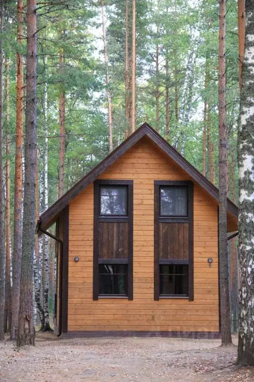 Дом в Ленинградская область, Приозерский район, Петровское с/пос ул. ... - Фото 2