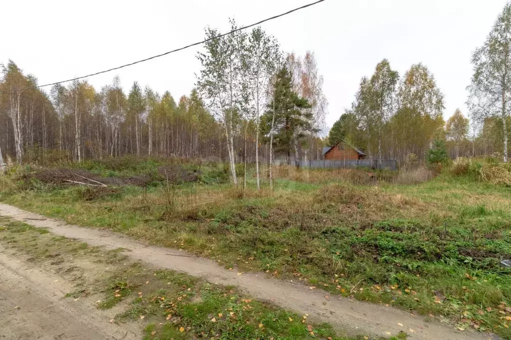 Участок в Тюменская область, Нижнетавдинский муниципальный округ, ... - Фото 0