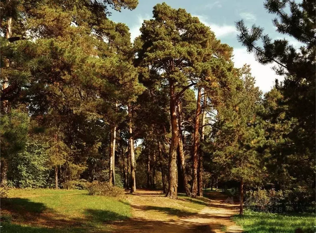 Участок в Московская область, Одинцовский городской округ, пос. ... - Фото 1