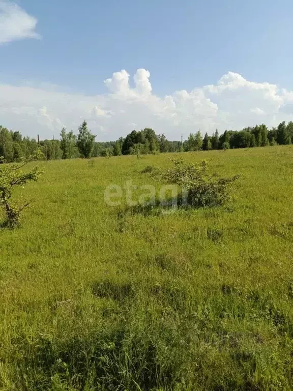 Участок в Брянская область, Сельцо Первомайский мкр,  (439.0 сот.) - Фото 0