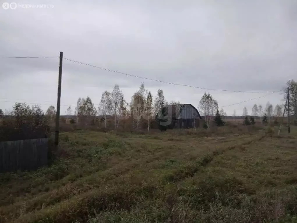 Дом в Кормиловский район, деревня Станкеевка, Пролетарская улица (45.9 ... - Фото 1