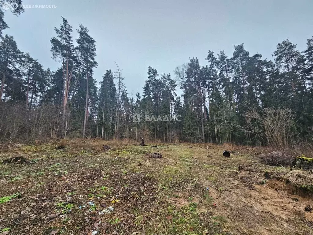 Участок в деревня Пенкино, Набережная улица, 7В (24 м) - Фото 1