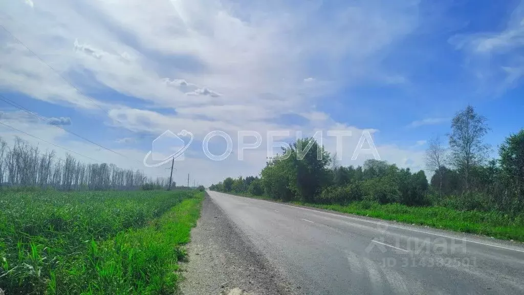 Участок в Тюменская область, Тюмень Велижанский тракт, 6-й км, 9/1 ... - Фото 0