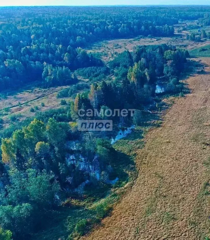 Участок в Московская область, Клин городской округ, Вельга Парк кп ул. ... - Фото 1