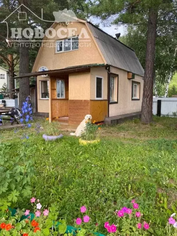 Дом в Иркутская область, Шелехов Труд СНТ,  (41 м) - Фото 0