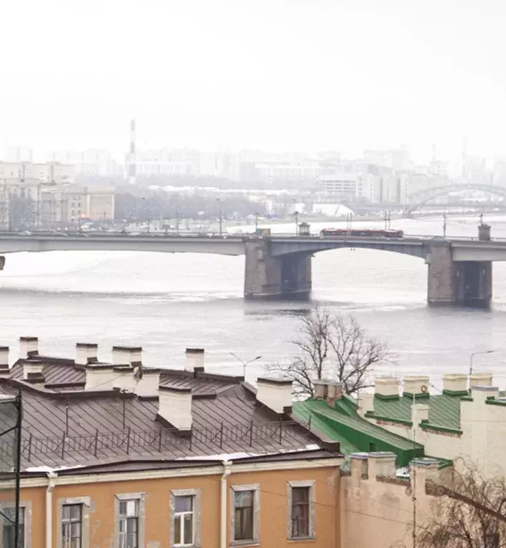 2-к кв. Санкт-Петербург просп. Бакунина, 33 (72.99 м) - Фото 2