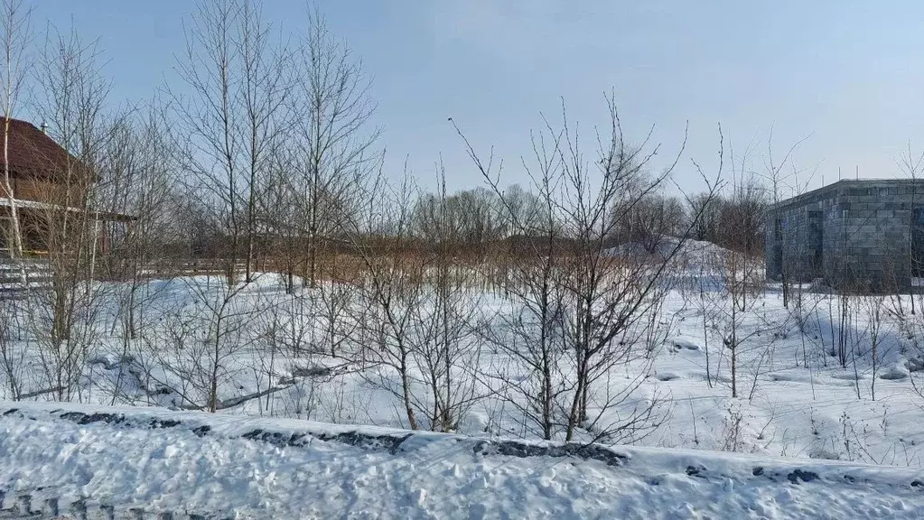 Участок в Хабаровский край, Хабаровский район, Тополевское с/пос, с. ... - Фото 2