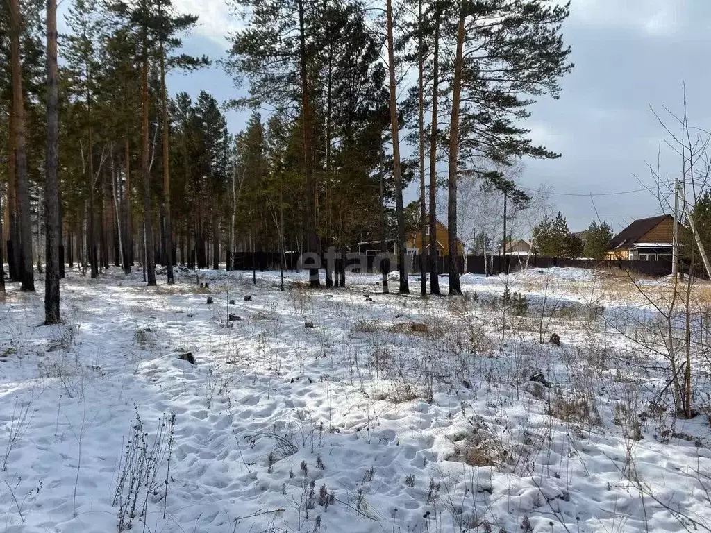 Участок в Забайкальский край, Чита Светлый ДНТ,  (17.7 сот.) - Фото 0