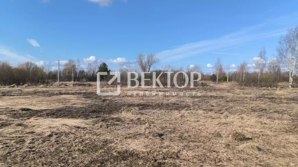 Участок в Костромская область, Кострома Первый кп, проезд Жигулевский ... - Фото 1