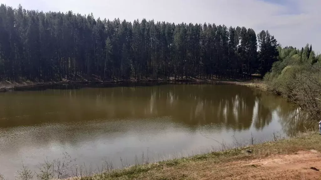 Участок в Башкортостан, Калтасинский район, Большекачаковский ... - Фото 1