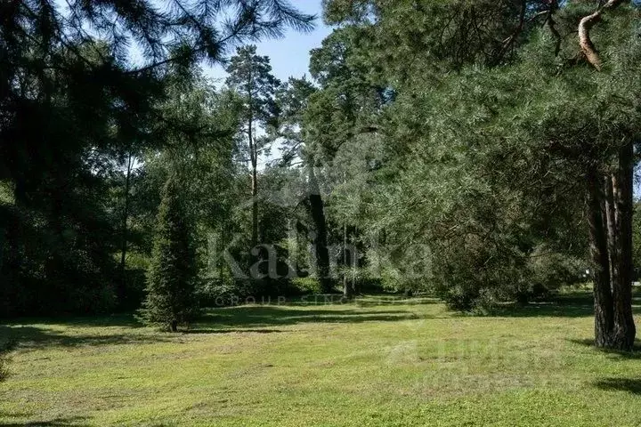 Участок в Московская область, Одинцовский городской округ, д. Барвиха, ... - Фото 2