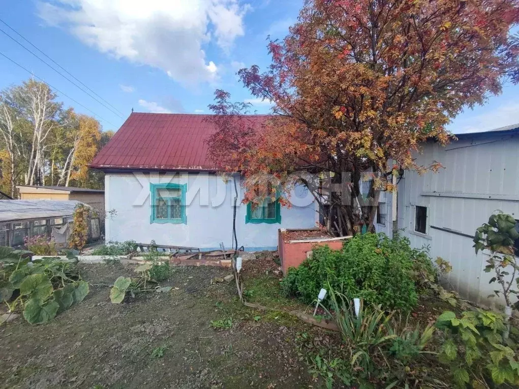 Дом в Новосибирская область, Новосибирский район, Барышевский ... - Фото 2