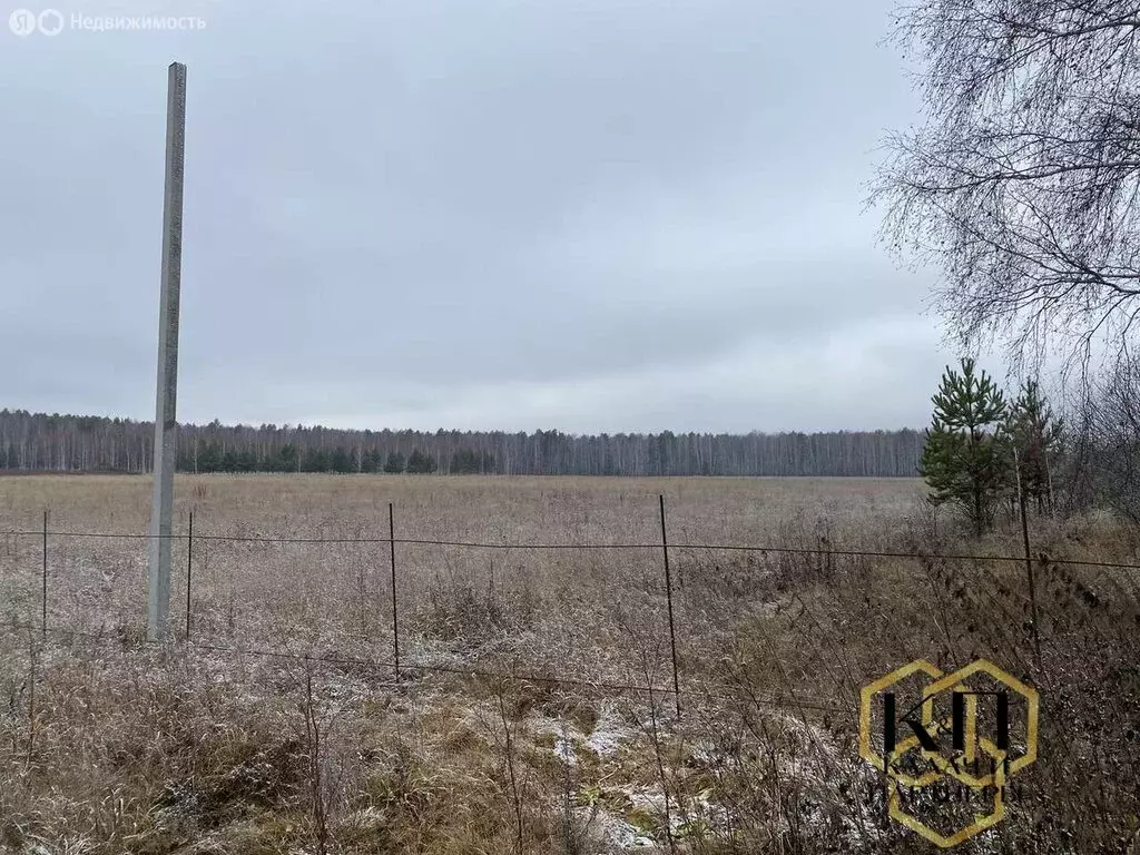 Участок в Свердловская область, Белоярский муниципальный округ (170000 ... - Фото 1