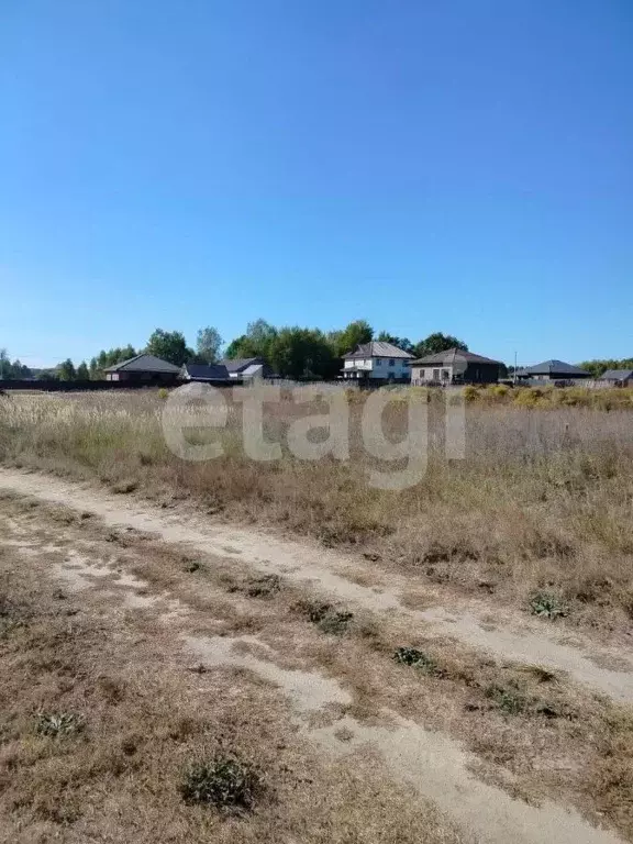 Участок в Брянская область, Брянский район, Новодарковичское с/пос, д. ... - Фото 0