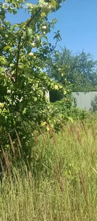 Участок в Волжский район, сельское поселение Курумоч, село Курумоч (8 ... - Фото 2