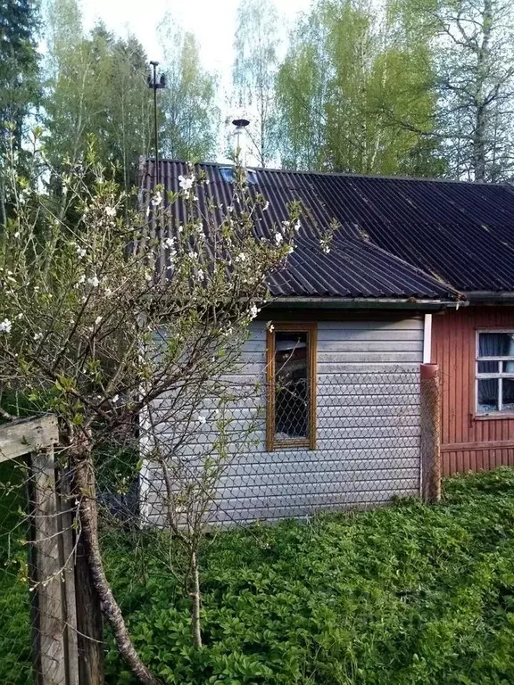 Дом в Псковская область, Гдовский район, Добручинская волость, д. ... - Фото 1