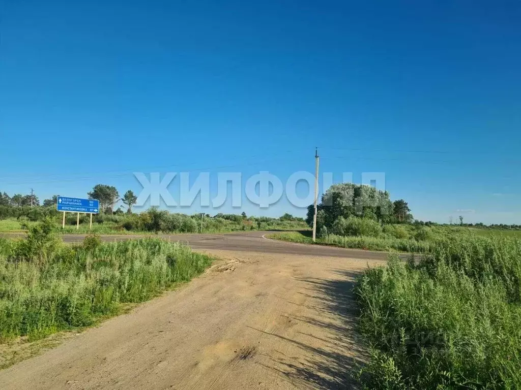 Участок в Амурская область, Благовещенский район, пос. Заречный ул. ... - Фото 1